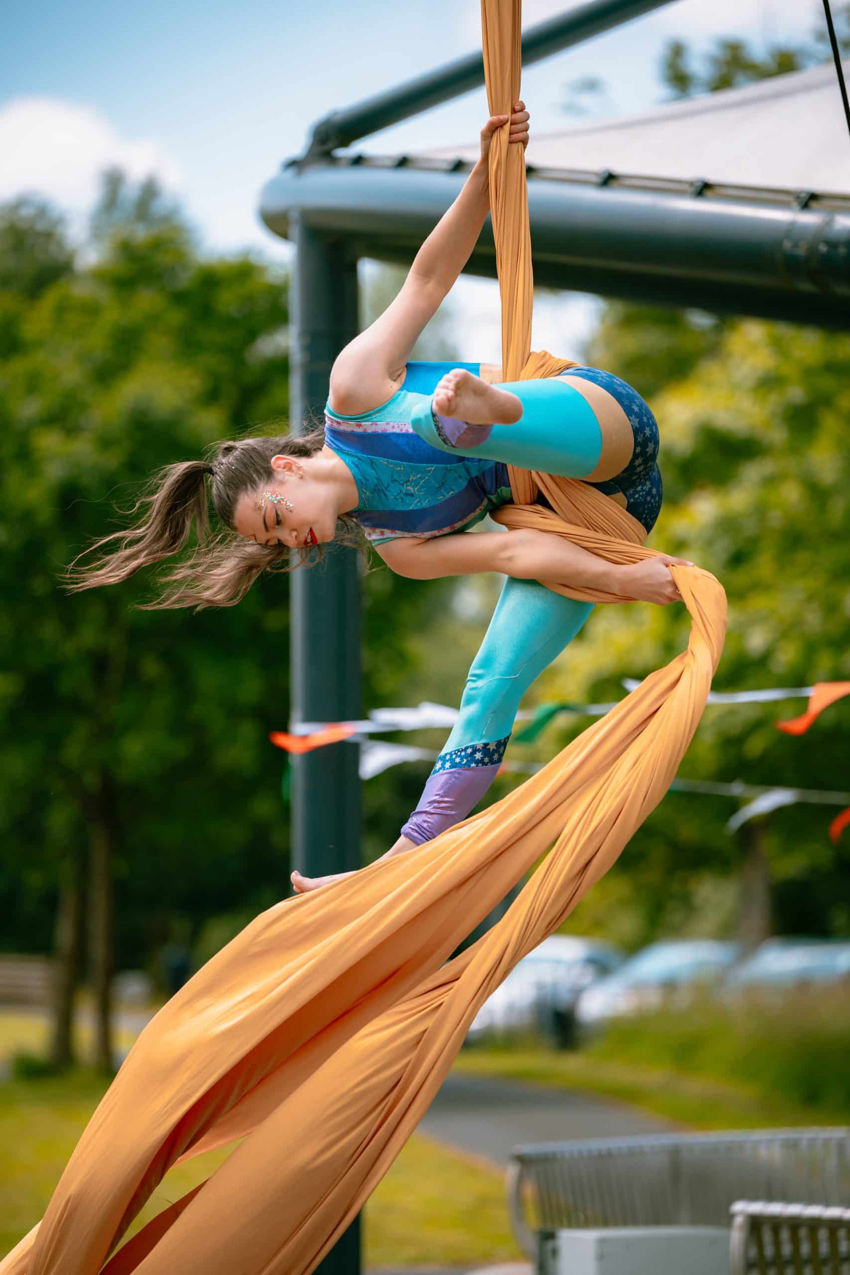 Clare Mela Shannon Park 2024